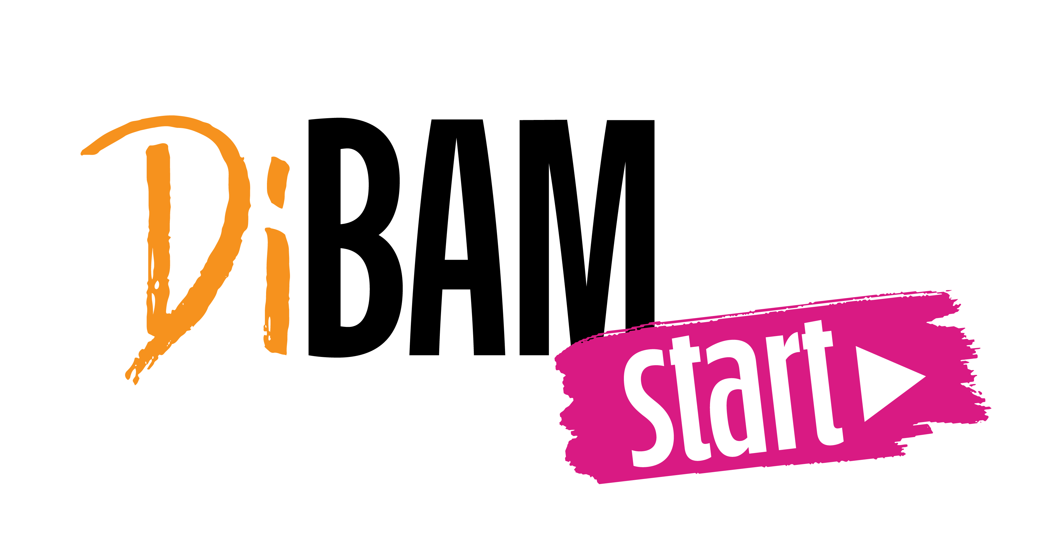 DiBAM Start